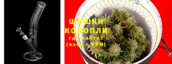 ГАЛЛЮЦИНОГЕННЫЕ ГРИБЫ Белоозёрский