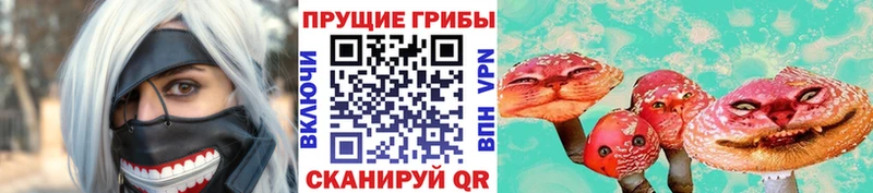 что такое наркотик  Новая Ладога  Псилоцибиновые грибы прущие грибы 
